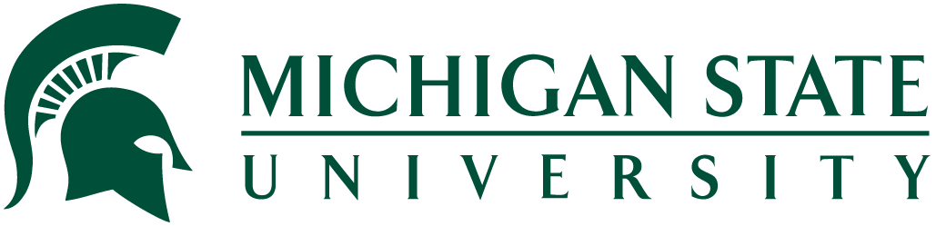 Academic Radiologist Faculty Positions at MSU Radiology